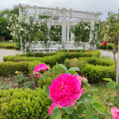 park ruza