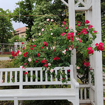 park ruza